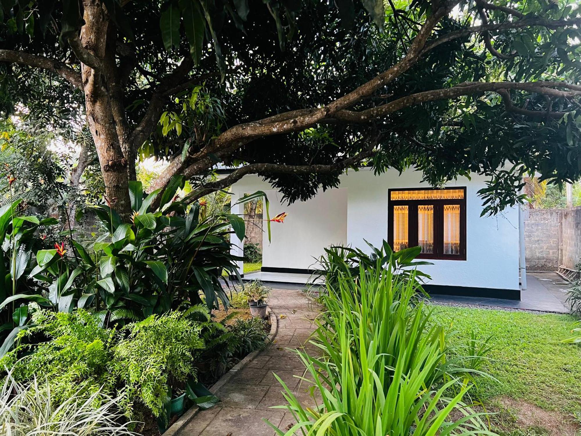 The Mango Retreat Villa Mirissa Exterior foto