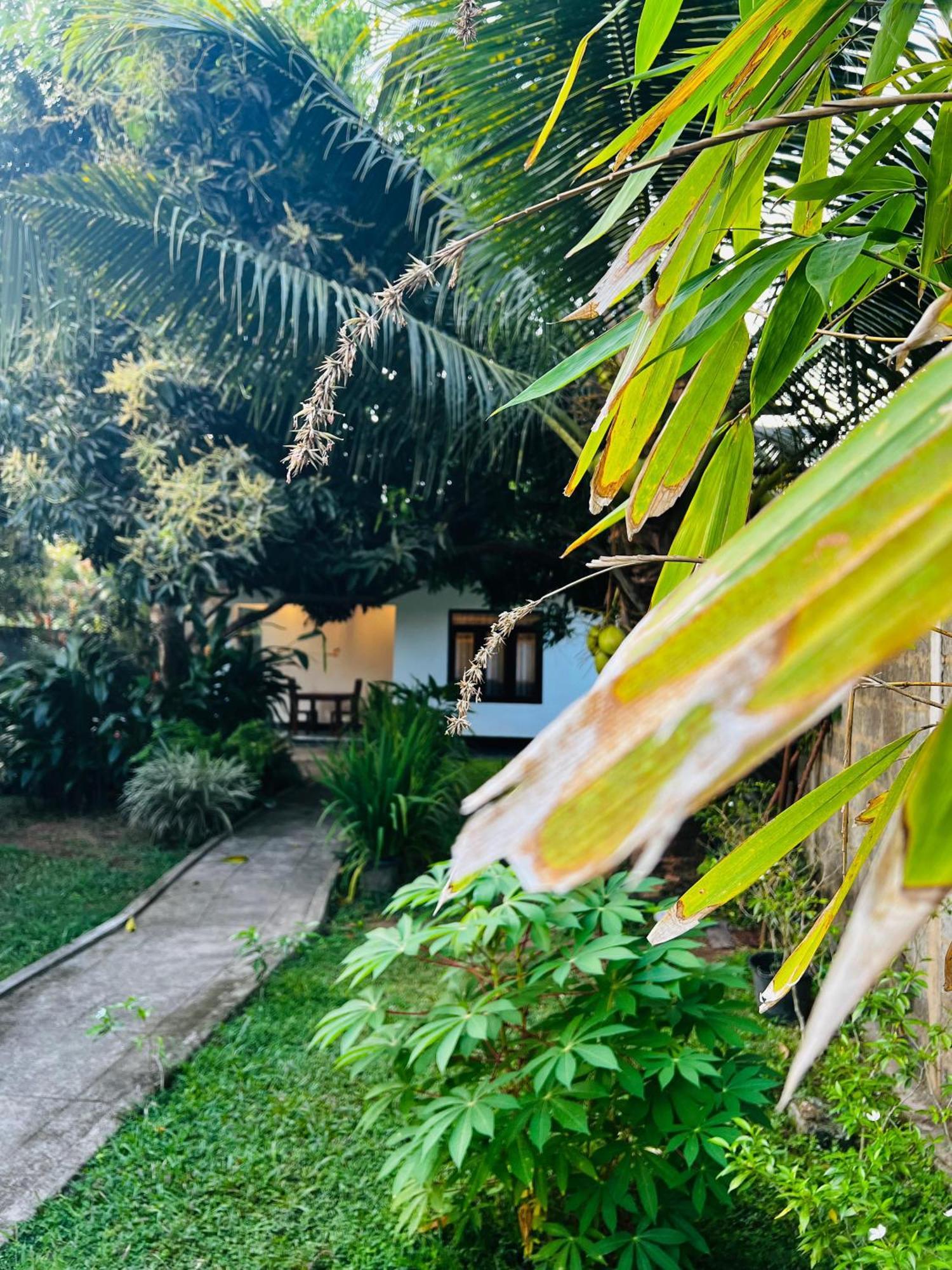 The Mango Retreat Villa Mirissa Exterior foto