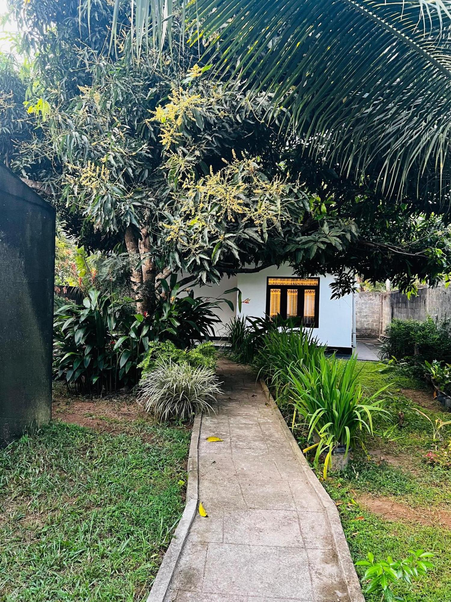 The Mango Retreat Villa Mirissa Exterior foto