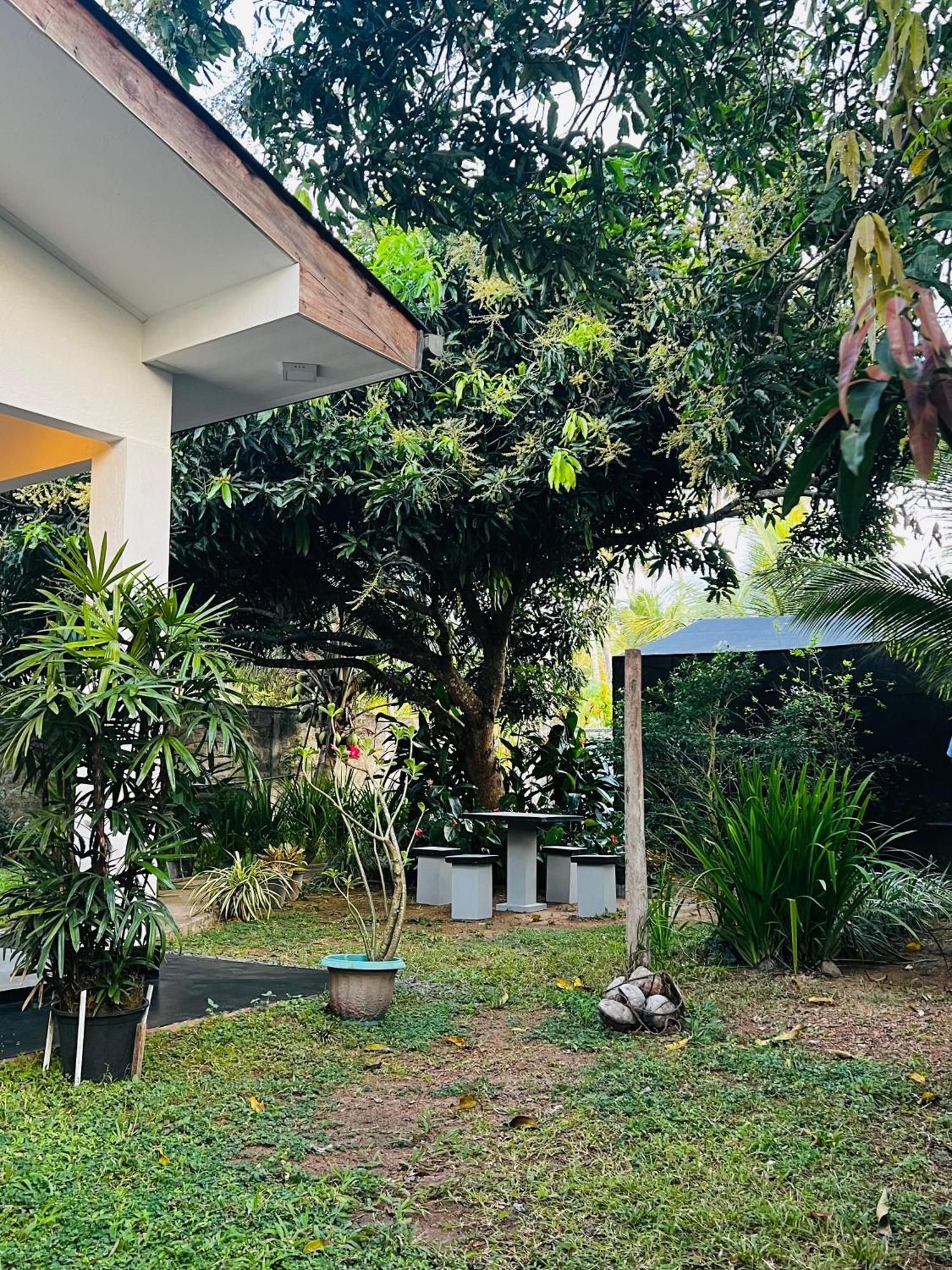 The Mango Retreat Villa Mirissa Exterior foto